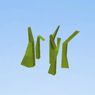 Grass
