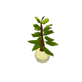 House plant