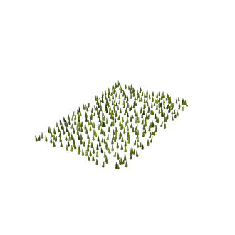 Grass