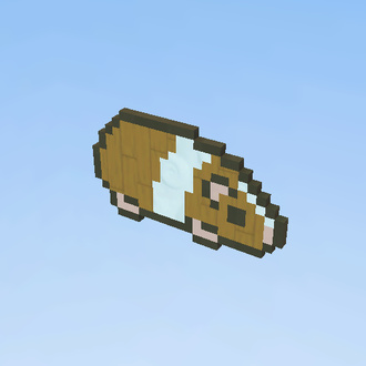 Guinea Pig