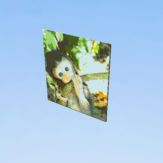 Monkey :D