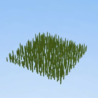 grass