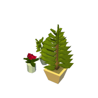 house plants