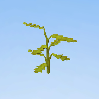 plant