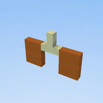 lungs