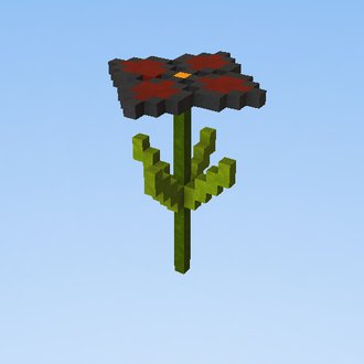 kwiatek