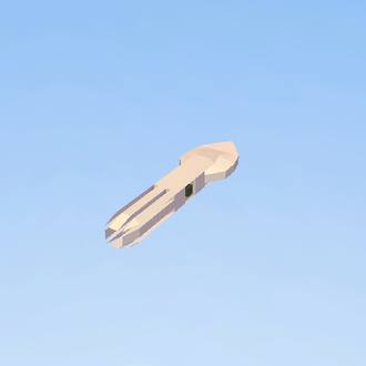 SOUTHERN CALAMARI SQUID