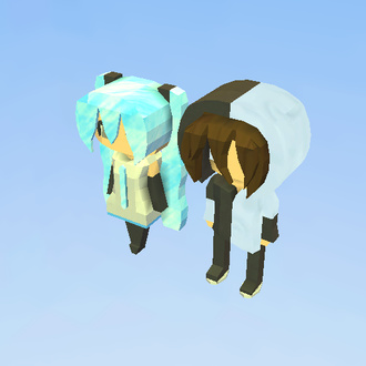2 Pack Skin