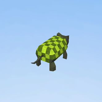 Turtle Cat (57)