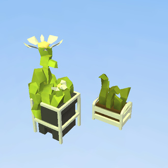 plants