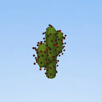 Cactus