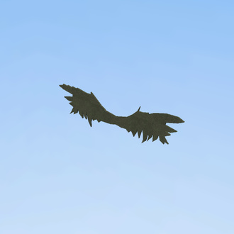 wings