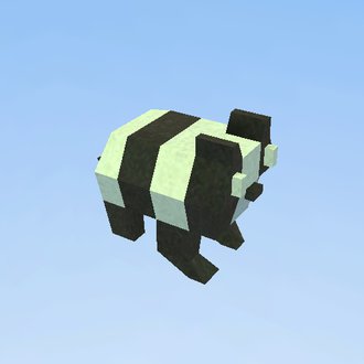 Racoon