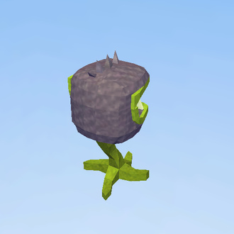 Plants