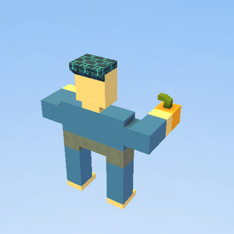 steve