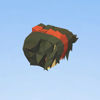 head